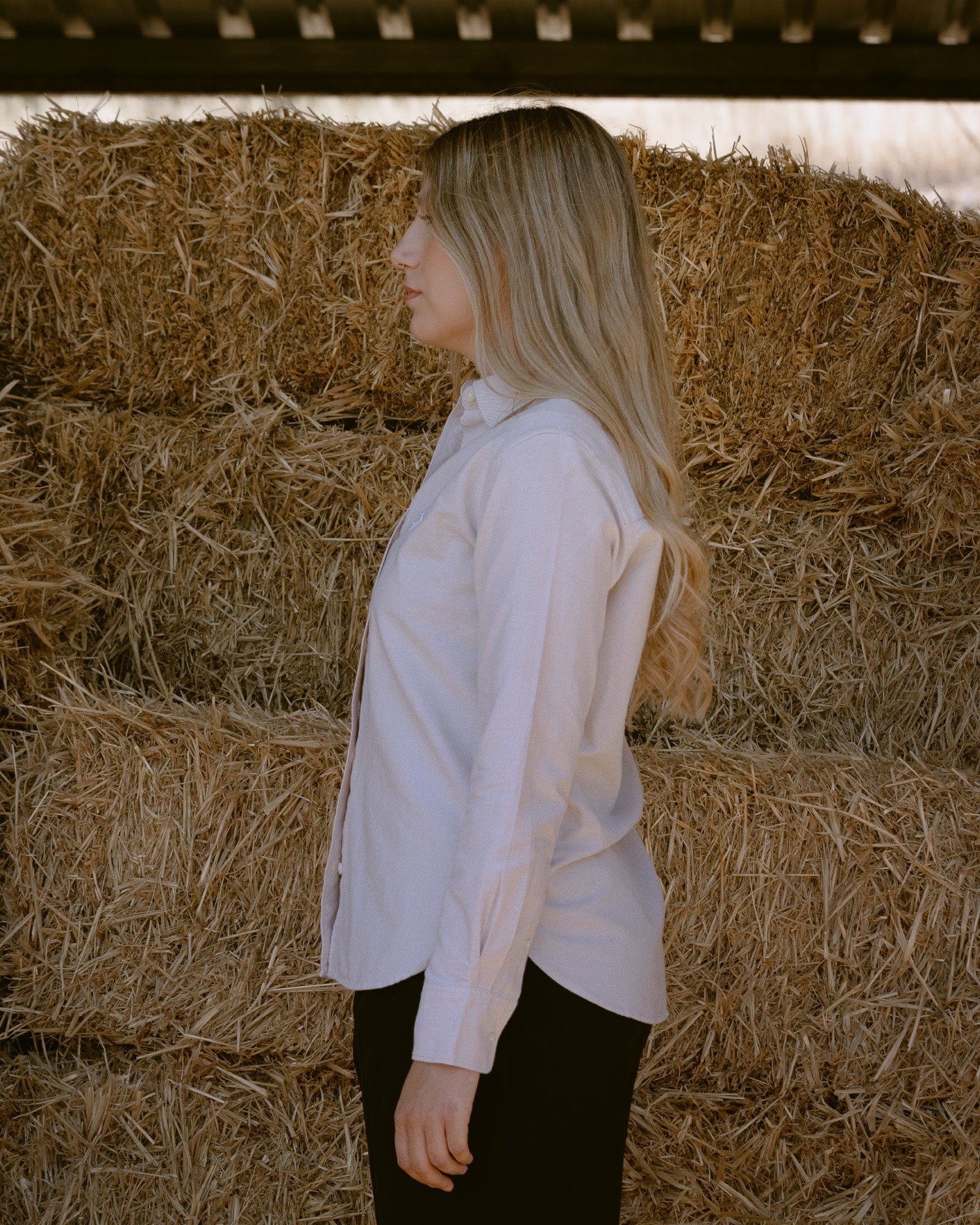 Camisa Oxford Mujer Beige - Tailor Dance